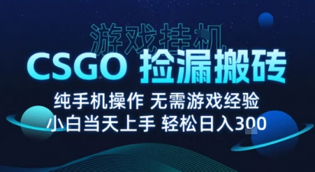 8月最新游戏搬砖，CSGO纯挂G，不需要玩游戏，实现真挂G，月入1W+【揭秘】-出门会