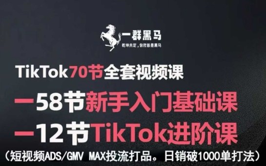 TikTok全套视频课，新手入门+进阶课，短视频ADS-GMV MAX投流打品，日销破1000单打法-出门会