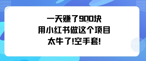 一天挣了9张用小红书做这个项目太牛了，空手套-出门会