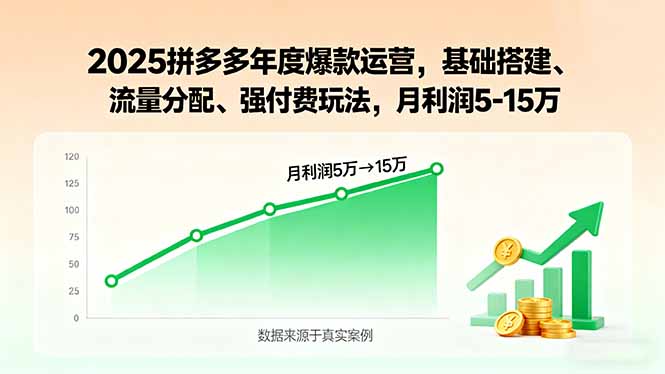 2025拼多多年度爆款运营，基础搭建、流量分配、强付费玩法，月利润5-15万-出门会