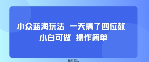 小众蓝海玩法 一天搞了四位数 小白可做 操作简单-出门会